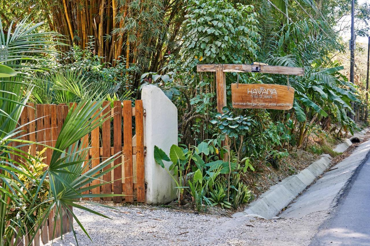 Villa Havana Malpais Ngoại thất bức ảnh